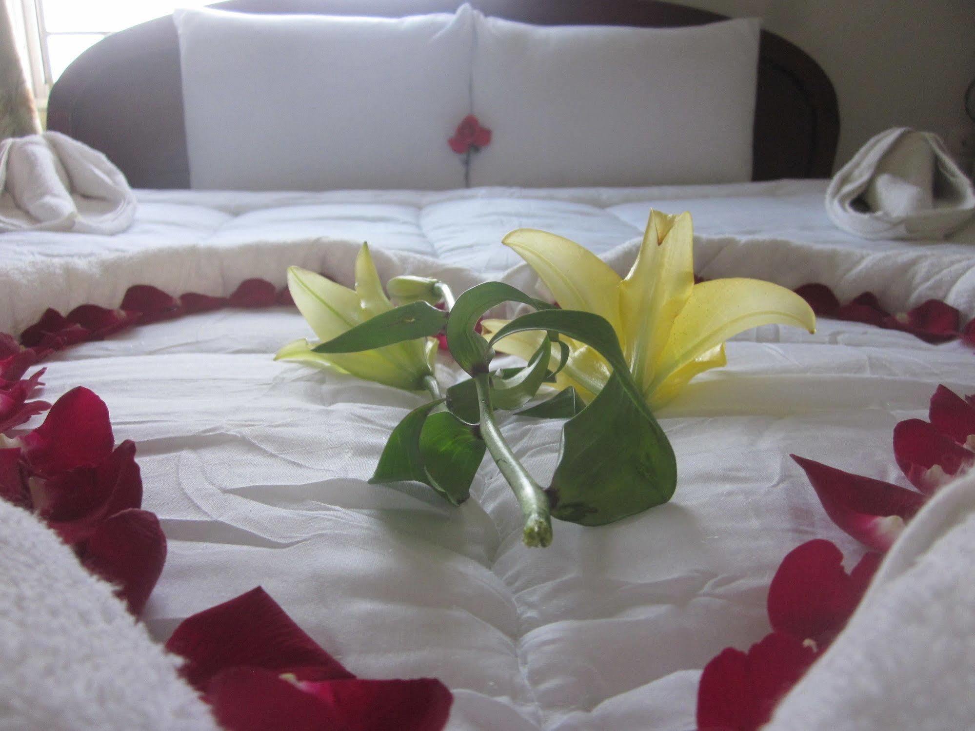 Valentine Hotel هوي المظهر الخارجي الصورة
